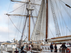 Tall Ships at Marina Spooktacular