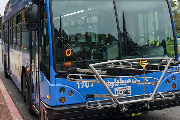 big blue bus