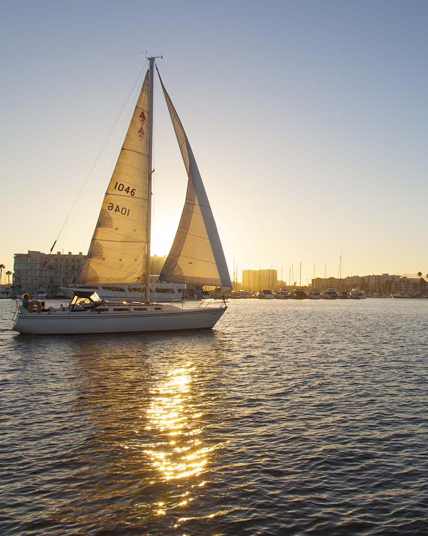 marina del rey sail boat