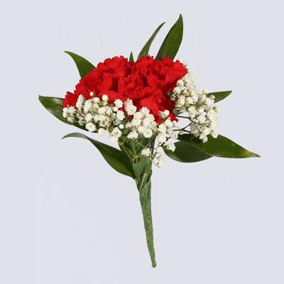 Red Carnation and Baby's Breath Boutonniere