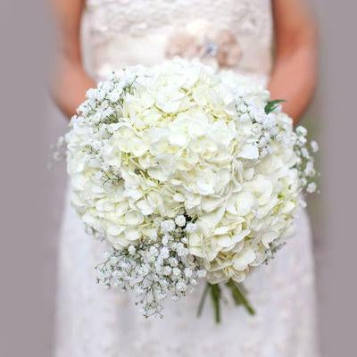 Hydrangea & Baby's Breath Bridal Bouquet