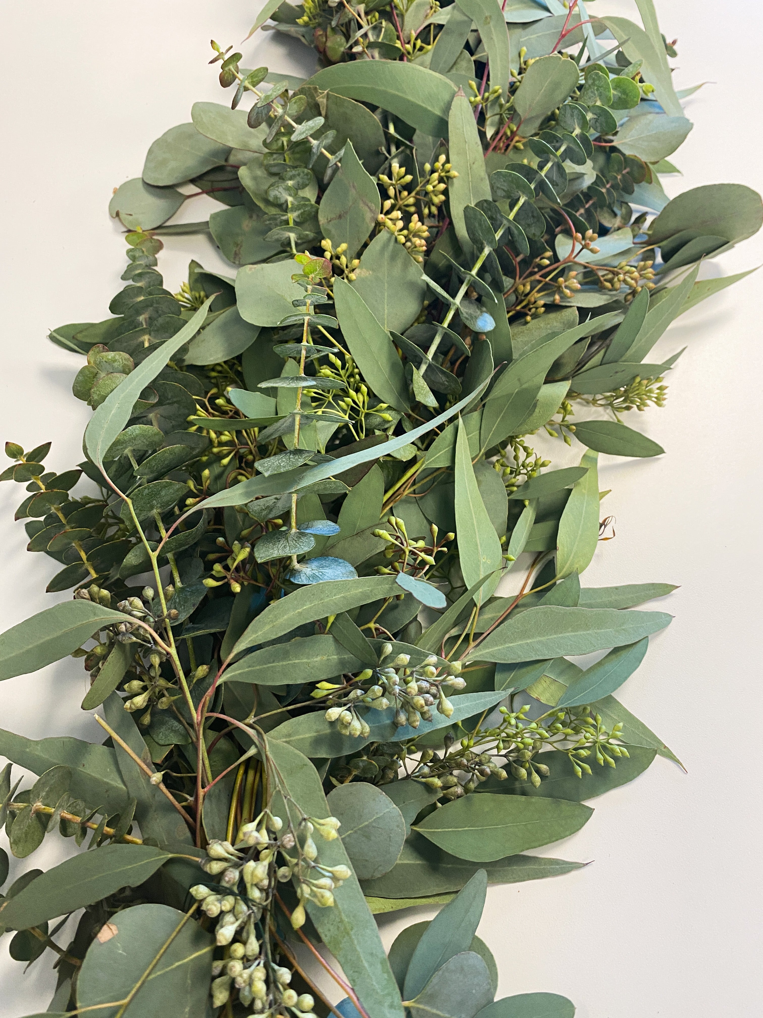 Elegant Eucalyptus Garland
