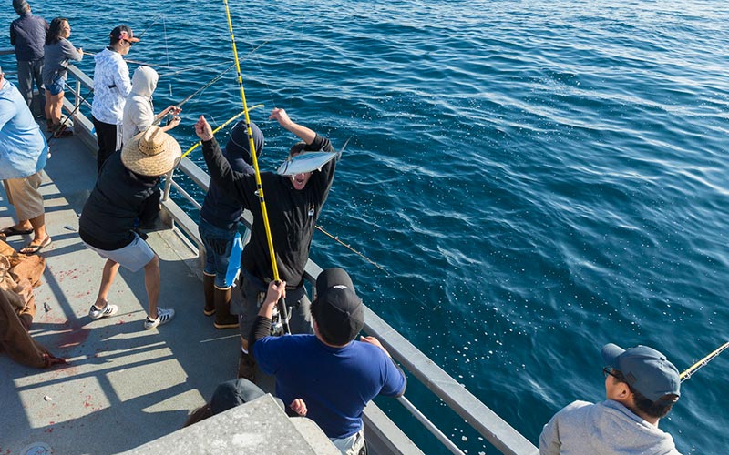 Daily sportfishing trips depart from Marina del Rey