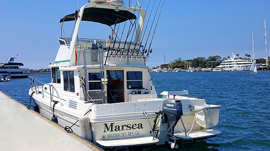 Marsea marina del rey