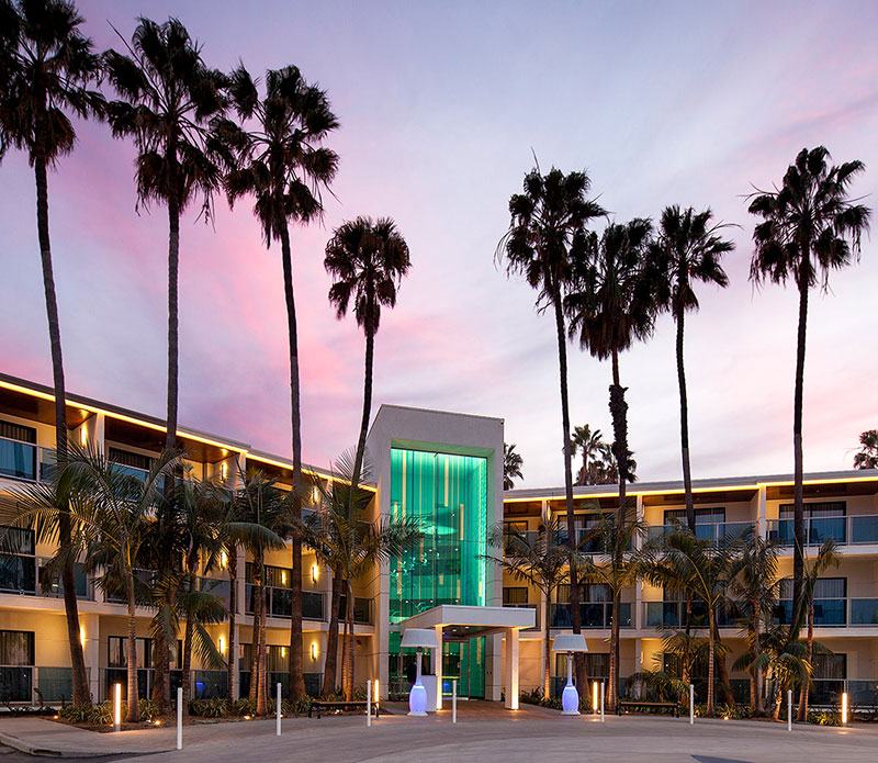 palm trees in front of MDR hotel