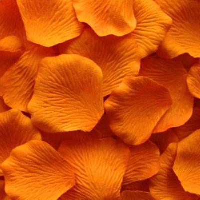Fresh Orange Rose Petals - Bulk and Wholesale