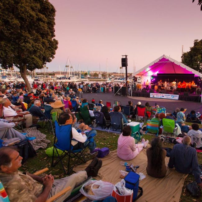 crowd watching concert in the park