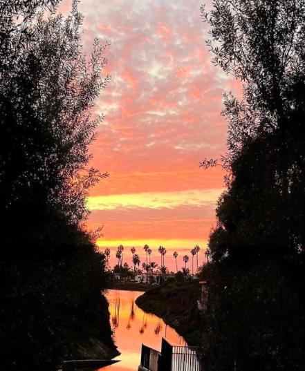 Sunset sky with water and palm trees